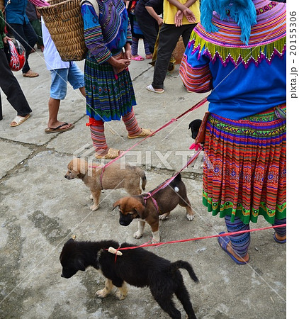 ベトナム北部 バクハの日曜市 花モン族と子犬 ベトナム北部 バクハの日曜市 花モン族と子犬 20155306