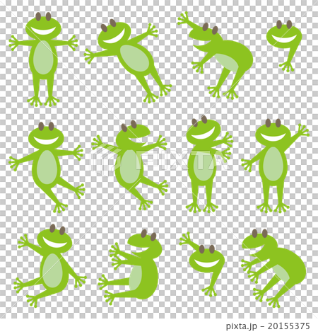 12 frogs design 12 frogs design 20155375