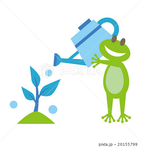 Frog and plant with white background 20155799
