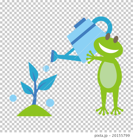 Frog and plant with white background 20155799
