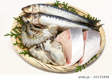 魚　魚介類　集合 20155898