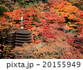 秋の談山神社 20155949