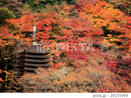 秋の談山神社 秋の談山神社 20155949