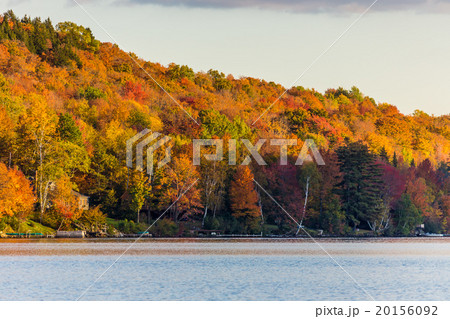 Autumn foliage in Vermont, Elmore state park 20156092