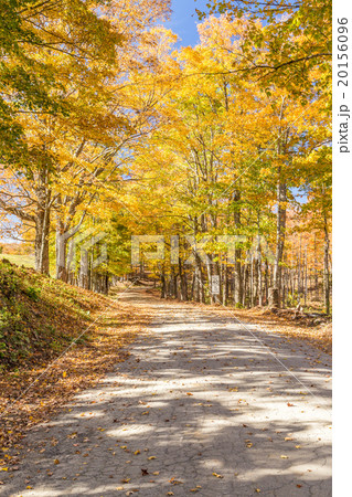 country road in fall, Vermont. 20156096