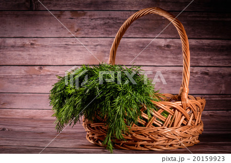 Dill Basket Dill Basket 20159923