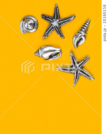 Sea conches - beach background 20160158