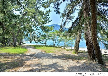 気比の松原 20161467