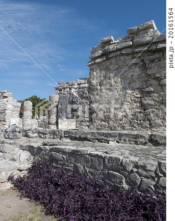 トゥルム遺跡 トゥルム遺跡 20161564