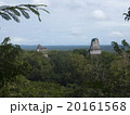 ティカル国立公園 20161568