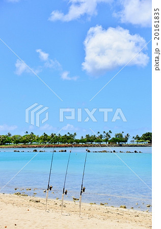 ハワイの休日 ハワイの休日 20161835