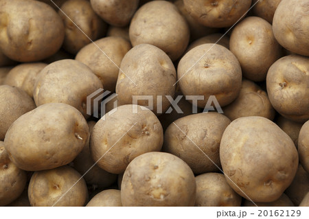 ジャガイモ ジャガイモ 20162129