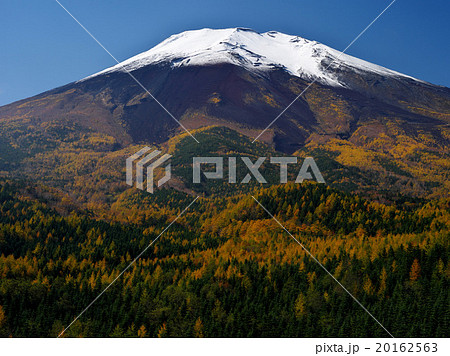 初冠雪の富士 20162563