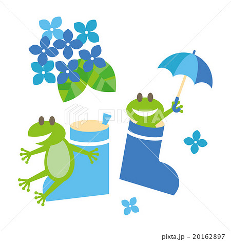 Frogs And Rainboots With Hydrangeaのイラスト素材 1627