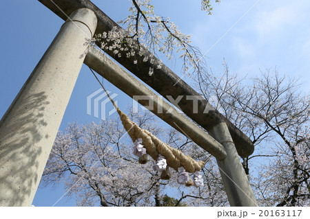 春の印象 神社 春の印象 神社 20163117