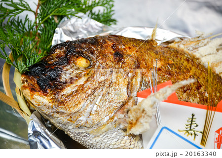 にらみ鯛 20163340