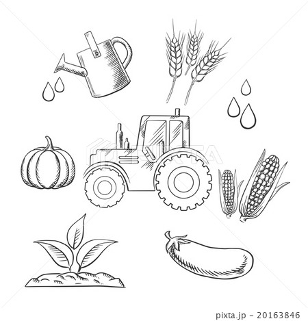 Agriculture and farm sketched objects Agriculture and farm sketched objects 20163846