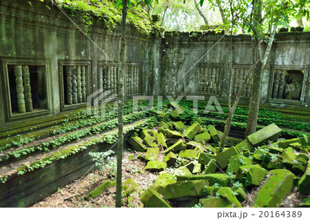 カンボジア シェムリアップ ベンメリア遺跡 カンボジア シェムリアップ ベンメリア遺跡 20164389