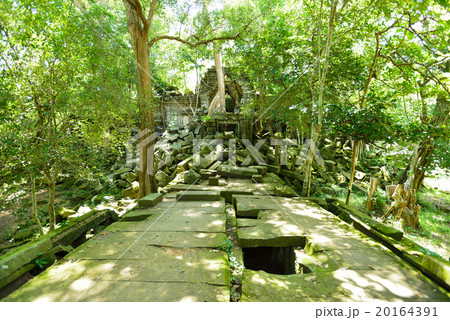 カンボジア シェムリアップ ベンメリア遺跡 カンボジア シェムリアップ ベンメリア遺跡 20164391