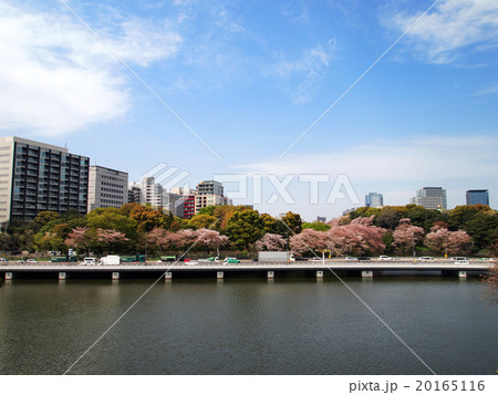 高速道路と桜 高速道路と桜 20165116
