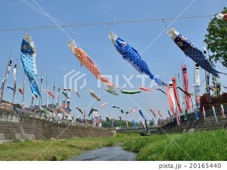 鯉のぼり風に泳ぐ 20165440