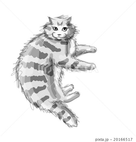 Cute grey cat, sketch for your design 20166517