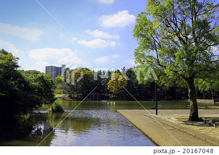 多摩中央公園 多摩中央公園 20167048