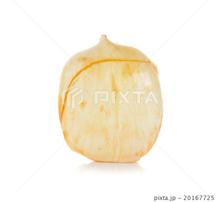 Asian Palmyra palm, Toddy palm Sugar palm isolated 20167725