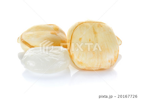 Asian Palmyra palm, Toddy palm Sugar palm isolated 20167726