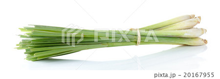 Lemon grass isolated on the white background 20167955