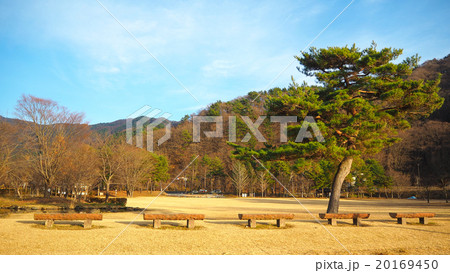 Japanese Zen Garden 20169450