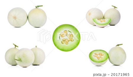 Collection Honeydew Melon on White Background 20171965
