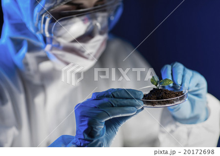 close up of scientist with plant and soil in lab 20172698