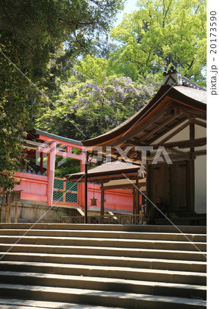 奈良　春日大社　若宮神社 20173590