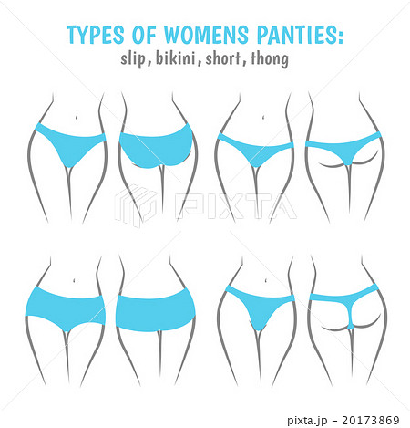 underpants views front and rear underpants views front and rear 20173869