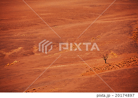 Namib desert Namib desert 20174897
