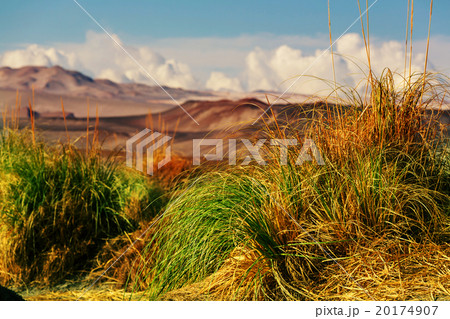 Northern Argentina Northern Argentina 20174907