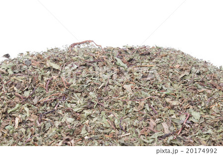 Dried peppermint 20174992