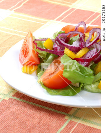 Salad Salad 20175168