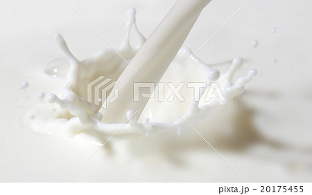 milk splash 20175455