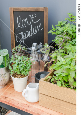 green plants and vegetable with garden tools 20175643