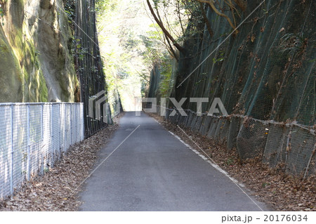 緑のトンネルの写真 緑のトンネルの写真 20176034