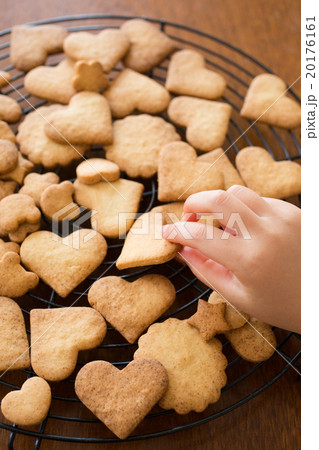 おうちで子供とお菓子作り アイシングクッキー 型抜きの写真素材