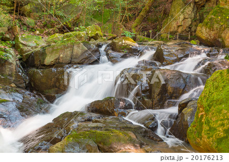 Water falls over a jumble of moss-covered boulders 20176213