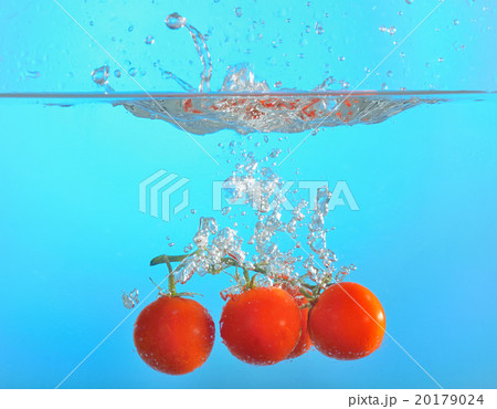 red tomatoes dropped into water red tomatoes dropped into water 20179024