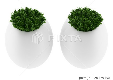 two wall plants in pots isolated on white  20179158