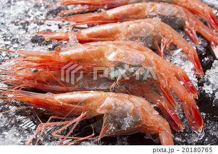 甘えび 甘えび 20180765