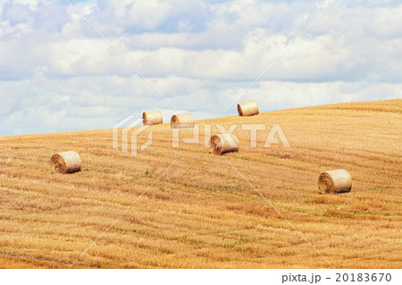 Haystacks on the Field 20183670