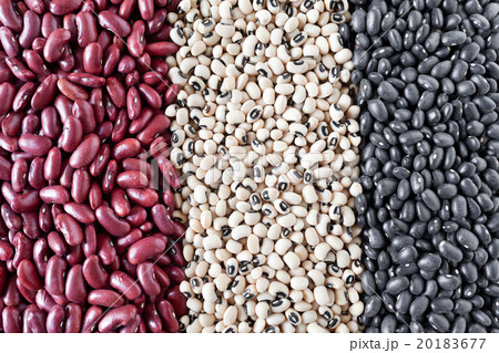 Beans Varieties 20183677