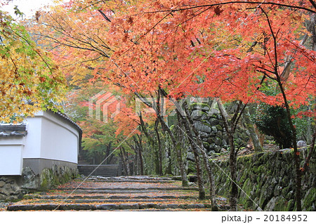 神峯山寺 神峯山寺 20184952